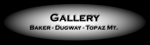 Thundereggs and Topaz Photos